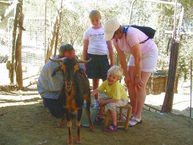  As a family with the animals 